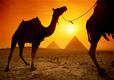 Египетские пирамиды, Nationalgeographic©
