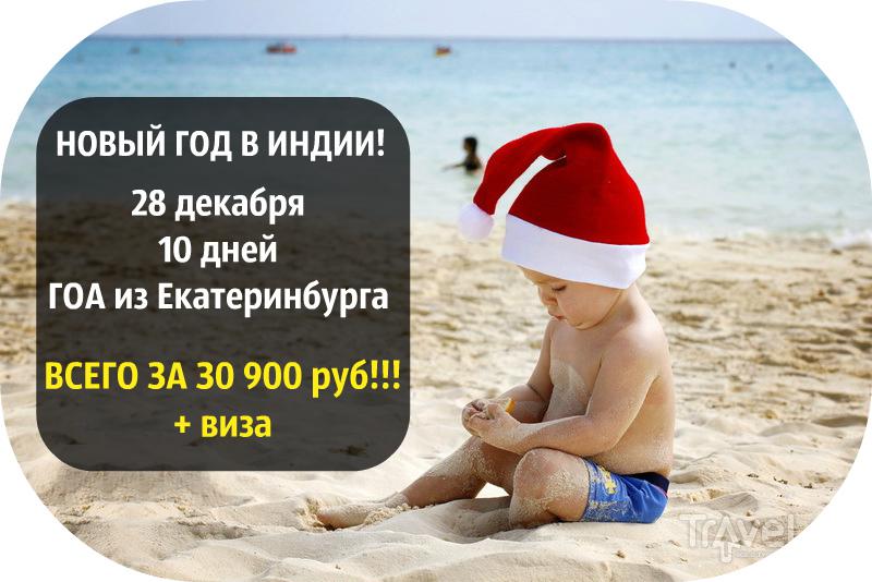 гоа горящий тур. индия северный гоа пинтерес. гоа обои. сколько стоит тур на шри -ланку. индия горящий тур.